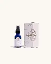 fountain of youth 2.webp