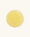 18.webp