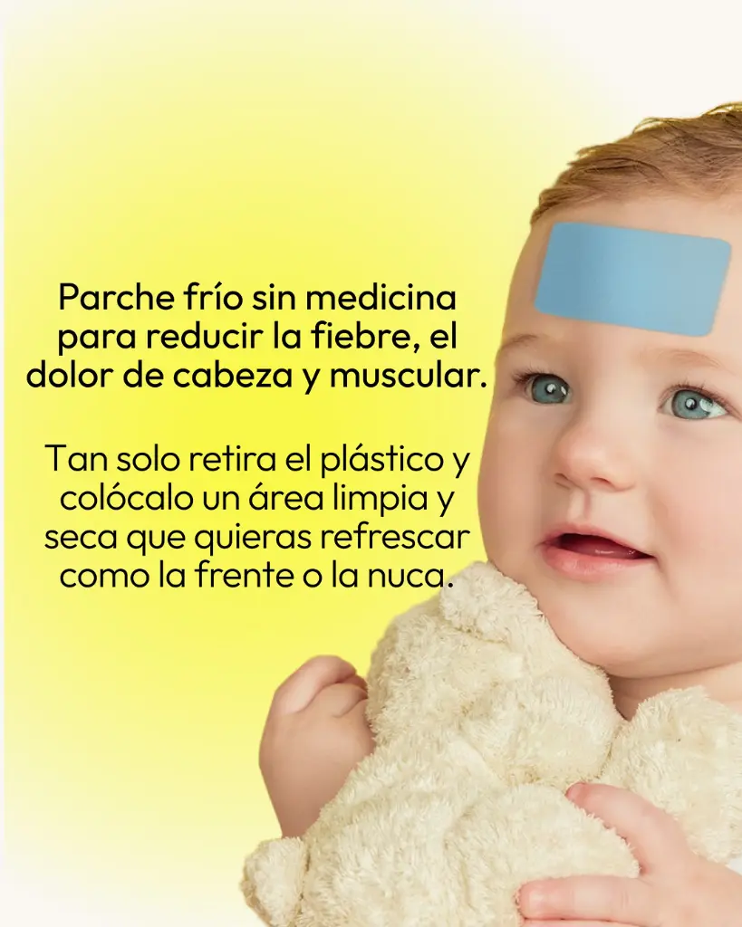 3.webp