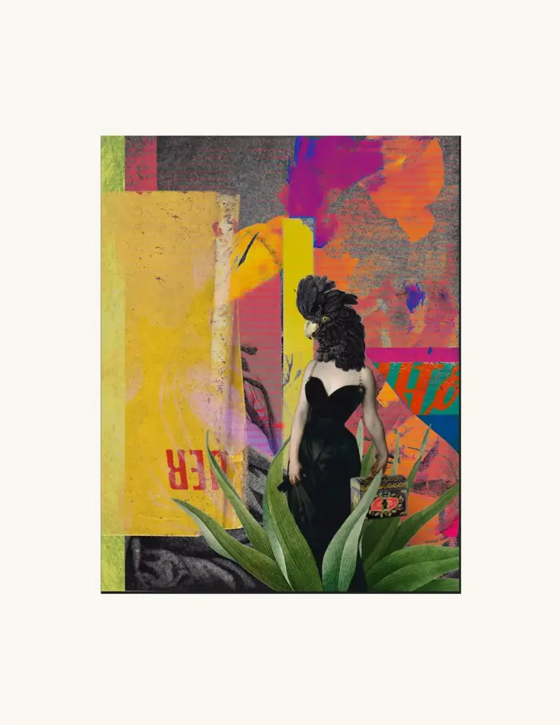 Serie De 20 La Mujer Pajarraca 